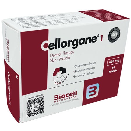 Cellorgane 1  Dermal Therapy. Skin-Muscle