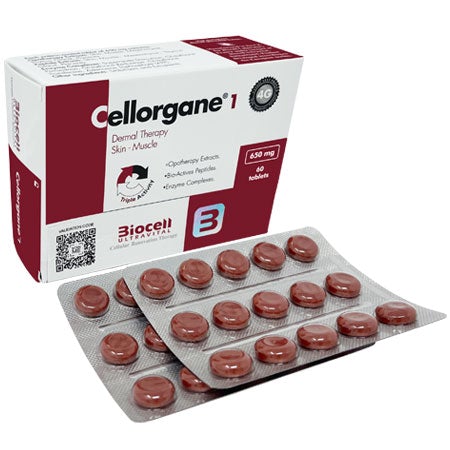 Cellorgane 1  Dermal Therapy. Skin-Muscle