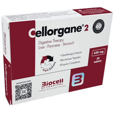 Cellorgane 2  Digestive Therapy.  Liver-Pancreas-Stomach